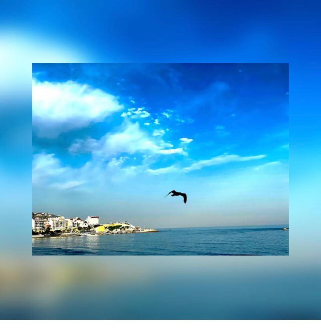 Apartamento Frente Al Mar Бенидорм Екстериор снимка